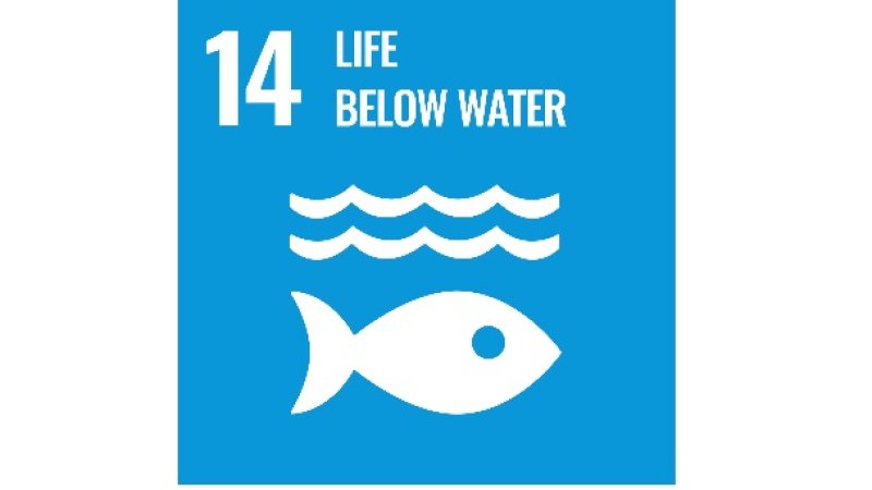 Life below water
