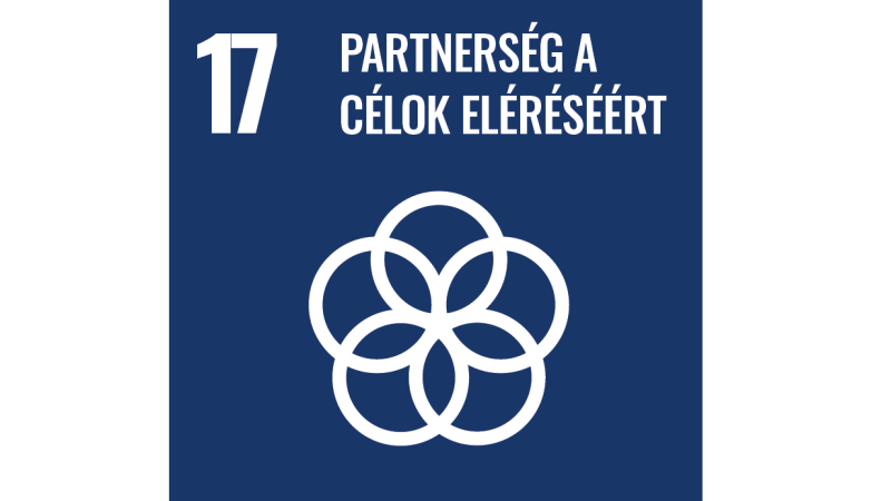 sdg_17