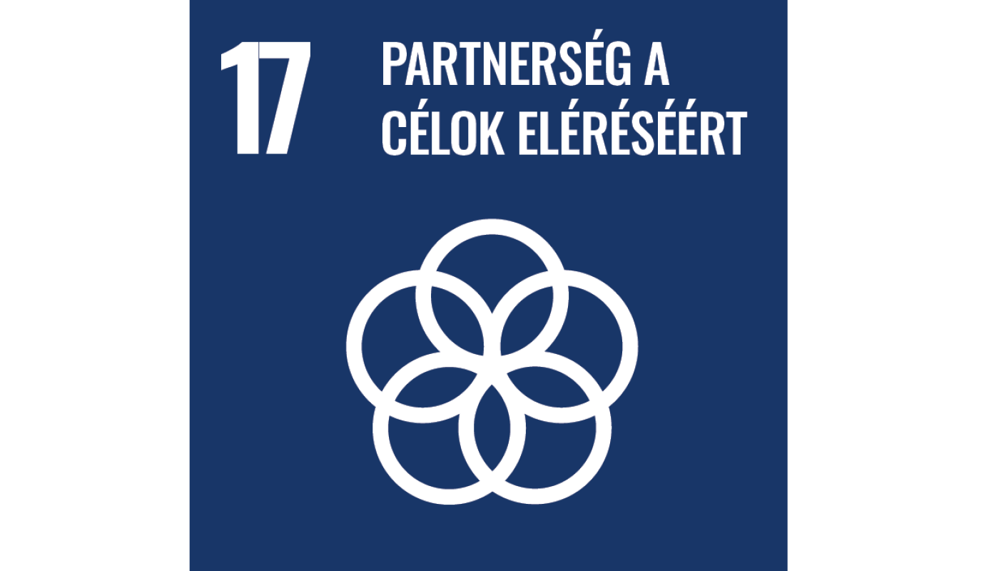 sdg_17