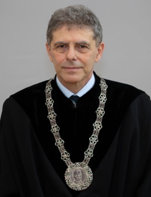 Koltai