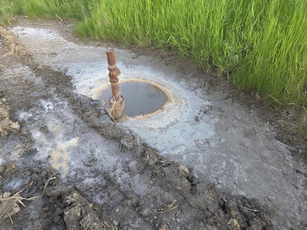 Parajd